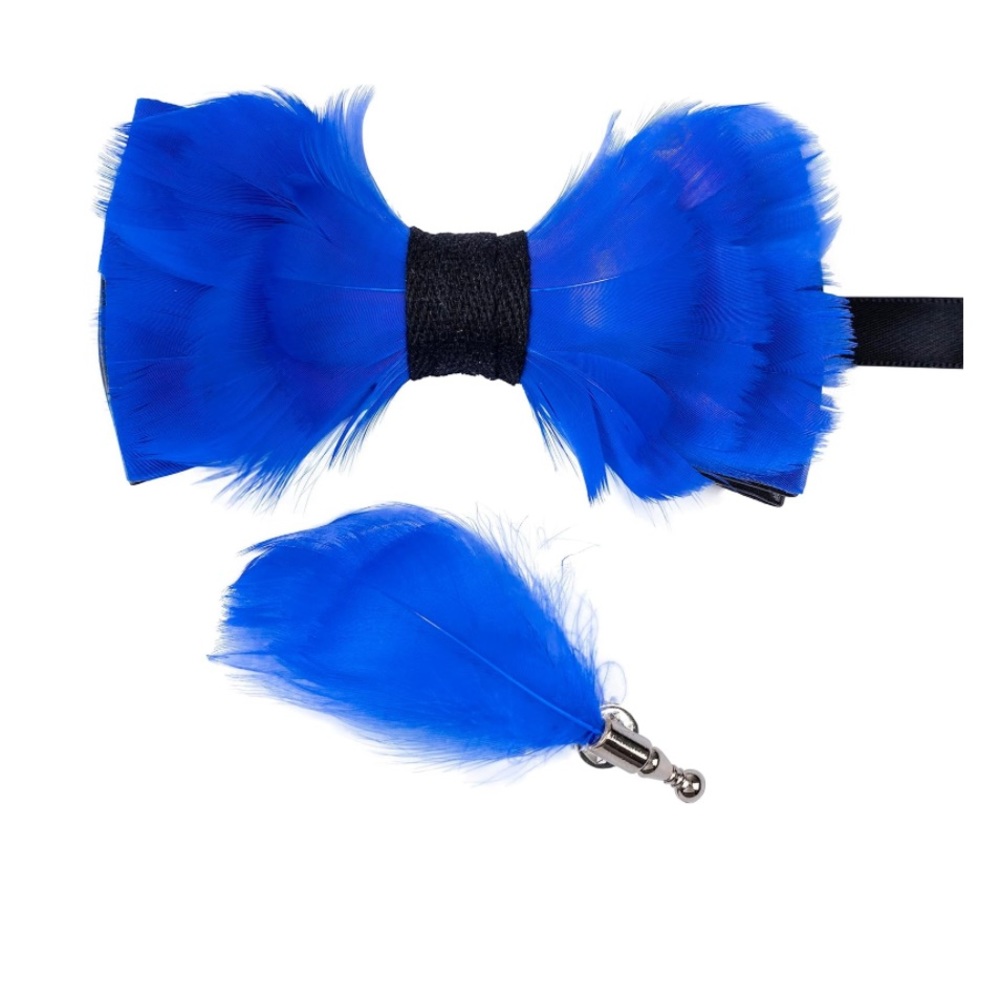 Men’s Novelty Feather Pre-Tied Bow Tie and Matching Lapel Box Set Royal Blue
